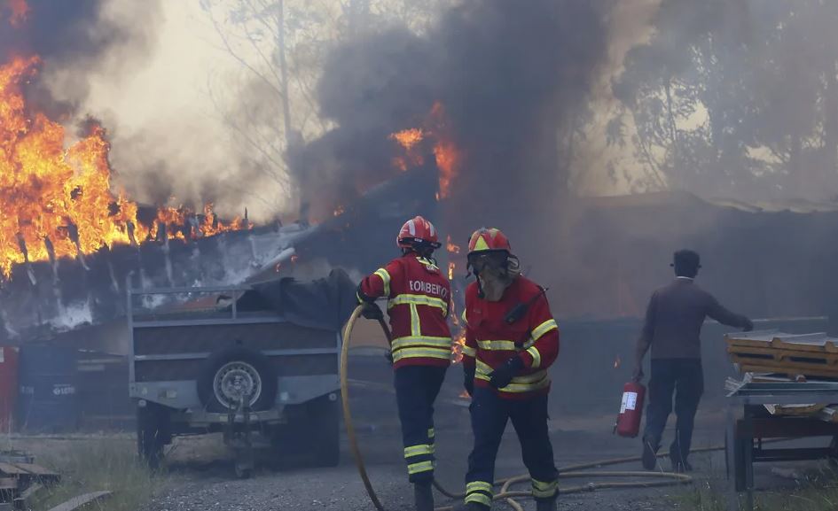 Vatrat e zjarrit në Portugali, mobilizohen rreth 800 zjarrfikës për të shuar flakët