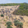 Kriza e emigracionit në Ceuta / Spanja planifikon transferimin urgjent të 500 vajzave të mitura drejt territorit evropian