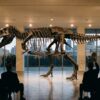 Skeleti i nanotiranit del në ankand për 9 milionë dollarë